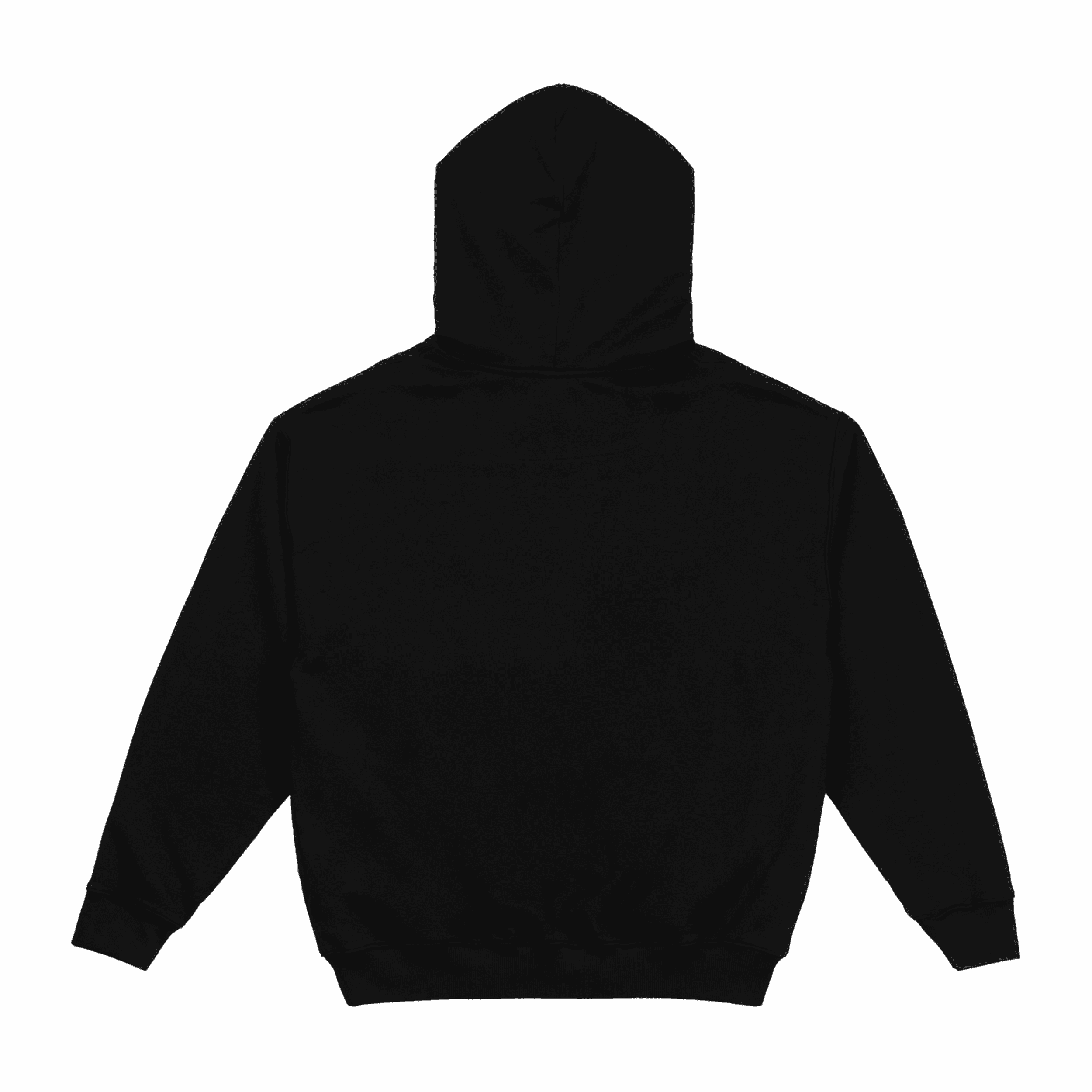 Photo of DSC Club Hoodie | Jet Black
