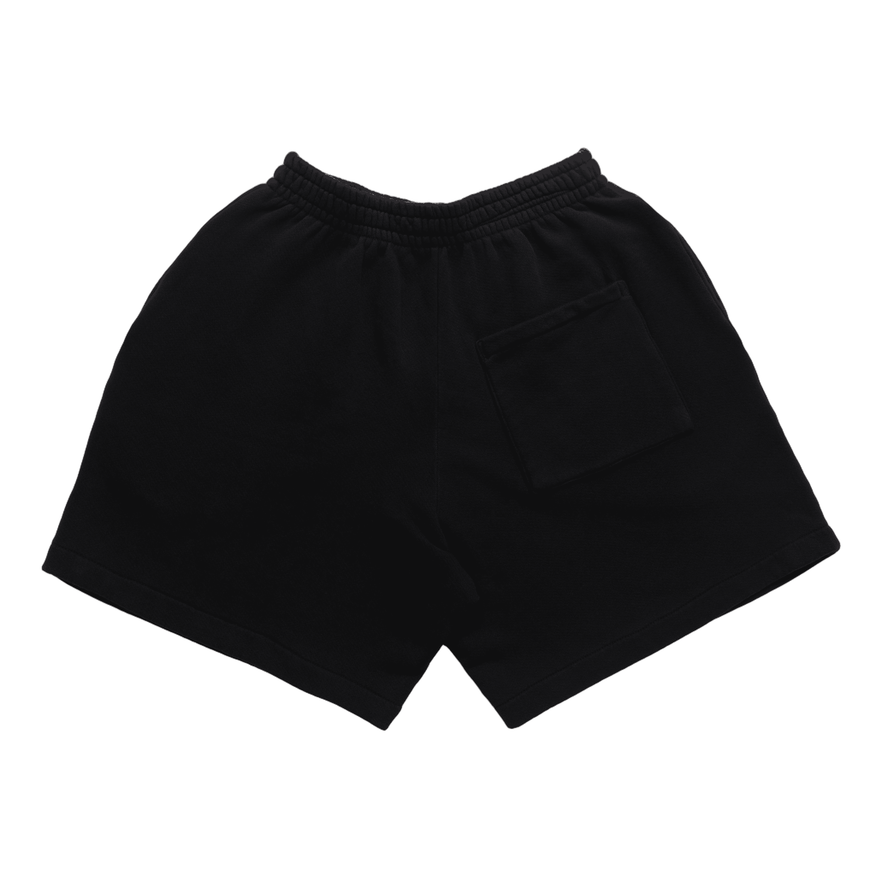 Photo of DSC Club Terry Shorts | Jet Black