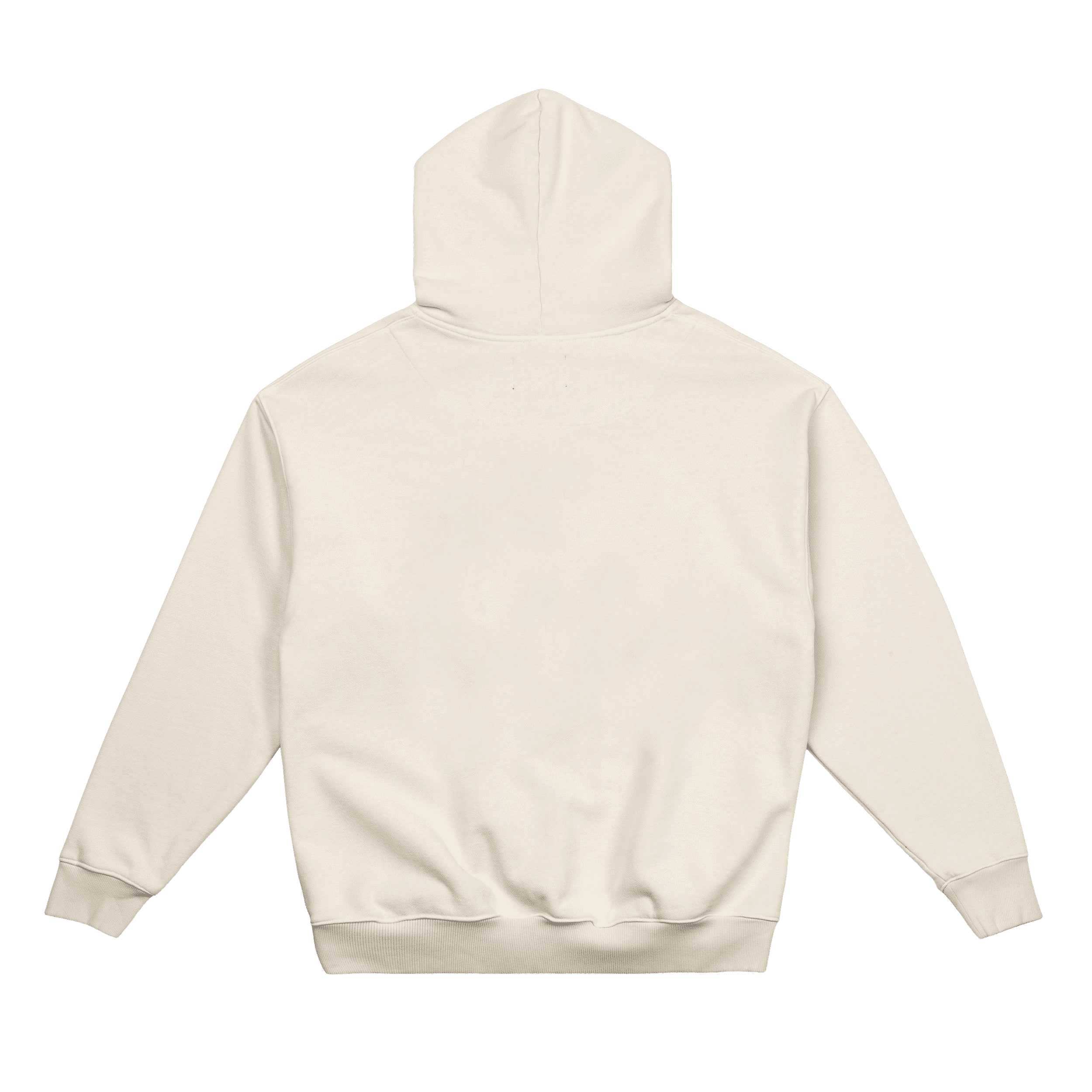 Photo of DSC Club Hoodie | Egret White