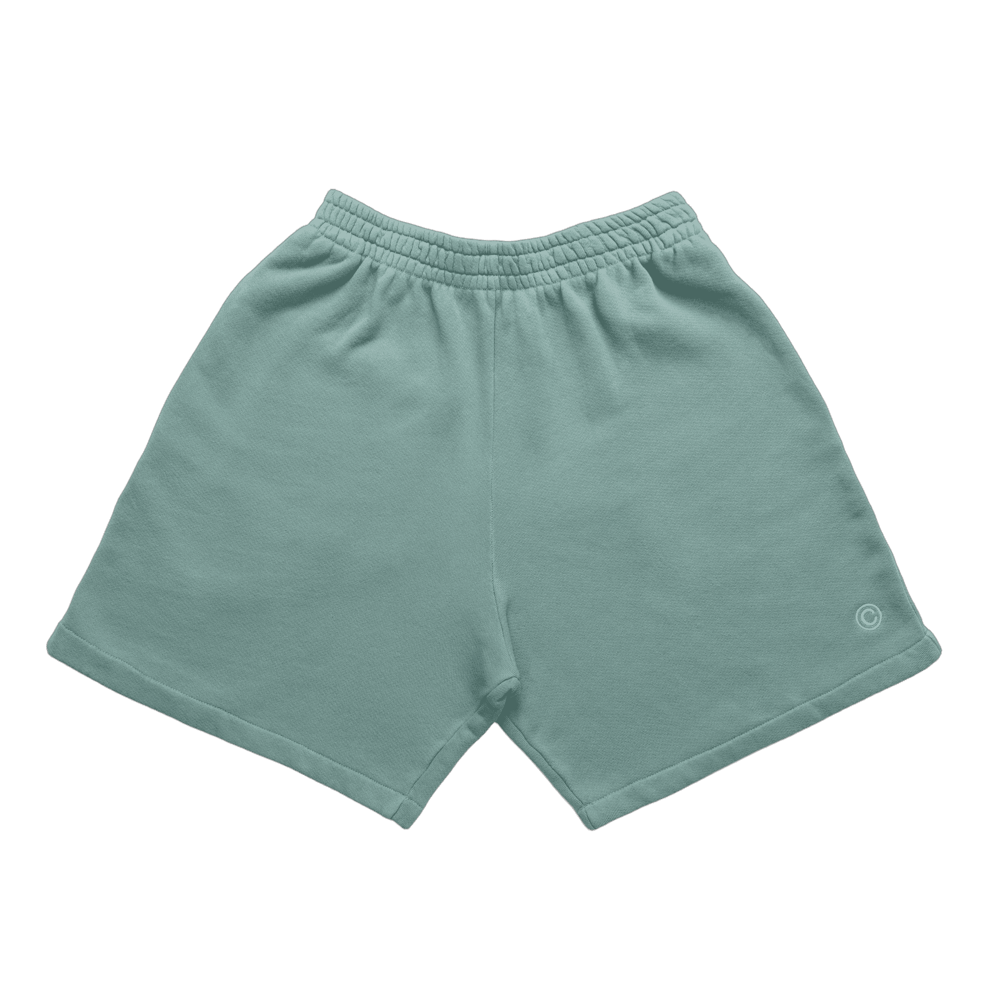 Photo of DSC Club Terry Shorts | Sea Glass Blue