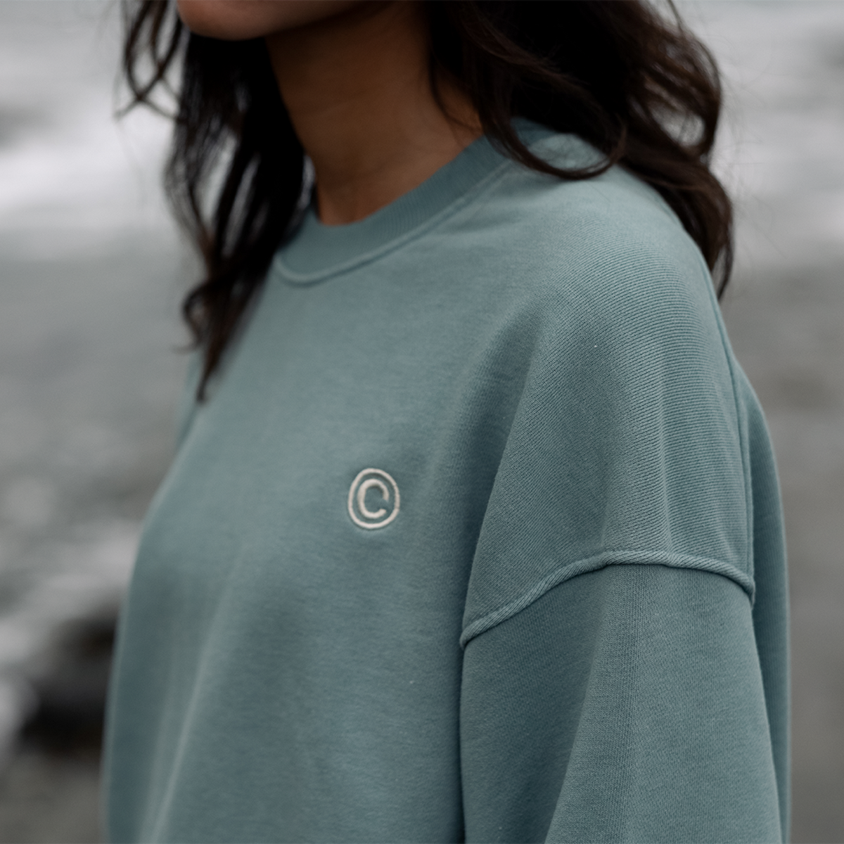 DSC Club Hoodie, Crew, and Sweatpants