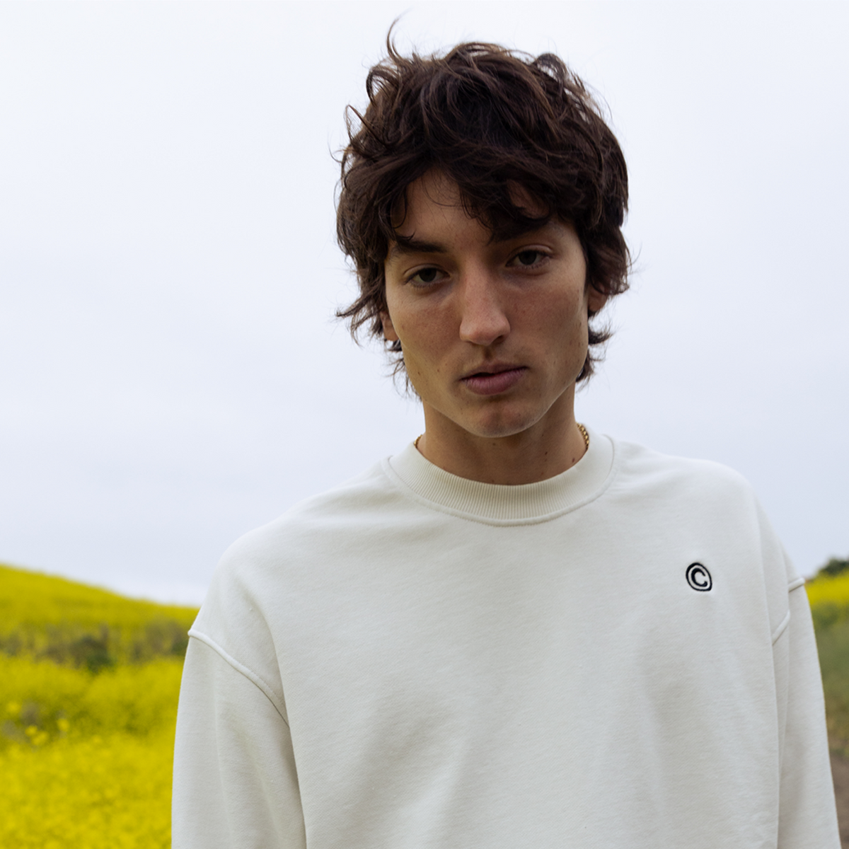 DSC Club Hoodie, Crew, and Sweatpants