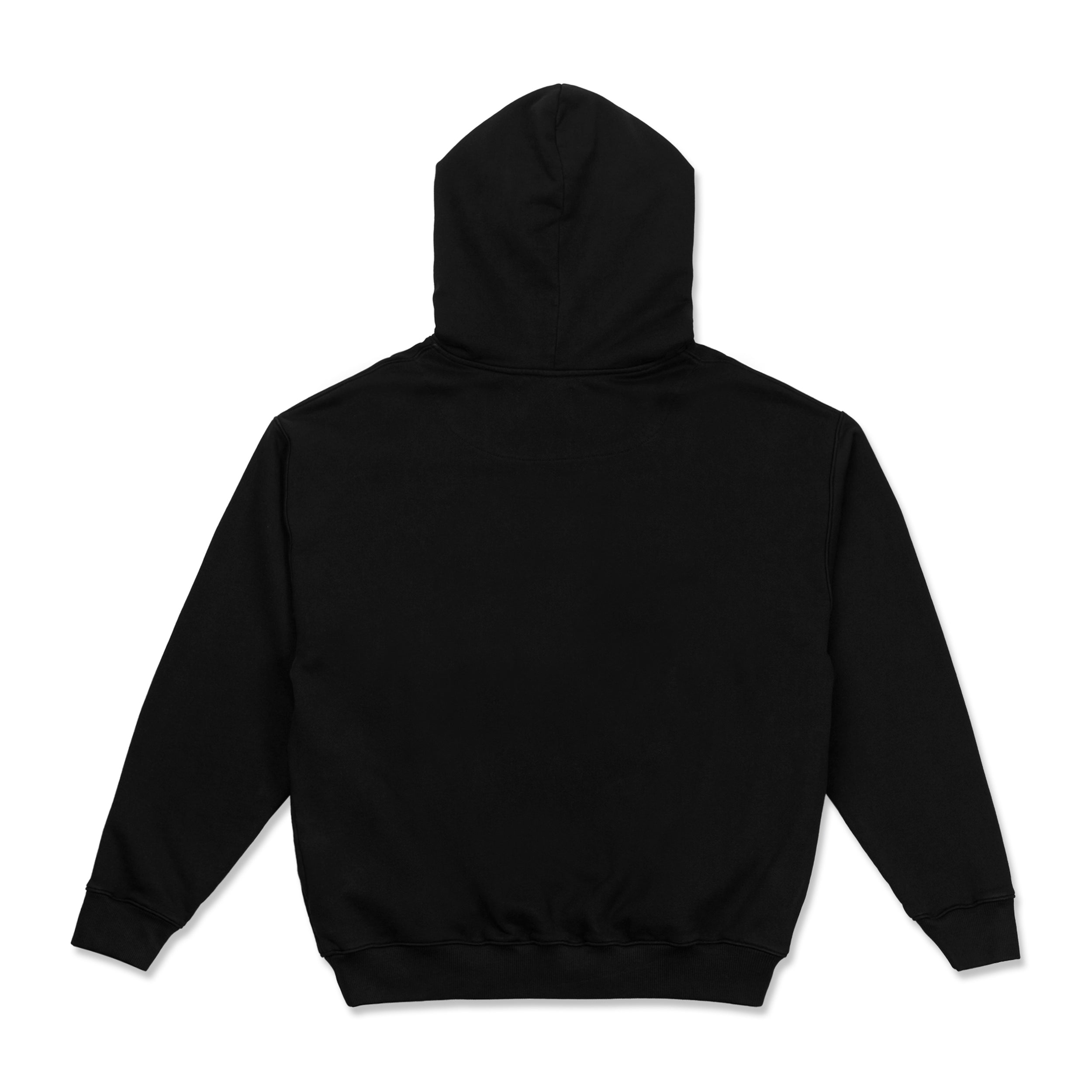 Photo of DSC Club Hoodie | jet black