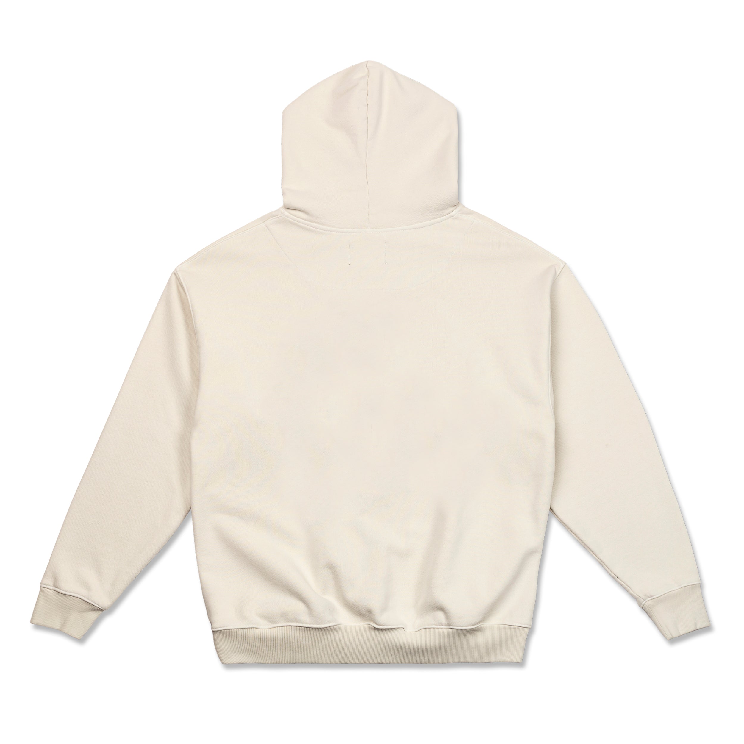 Photo of DSC Club Hoodie | egret white