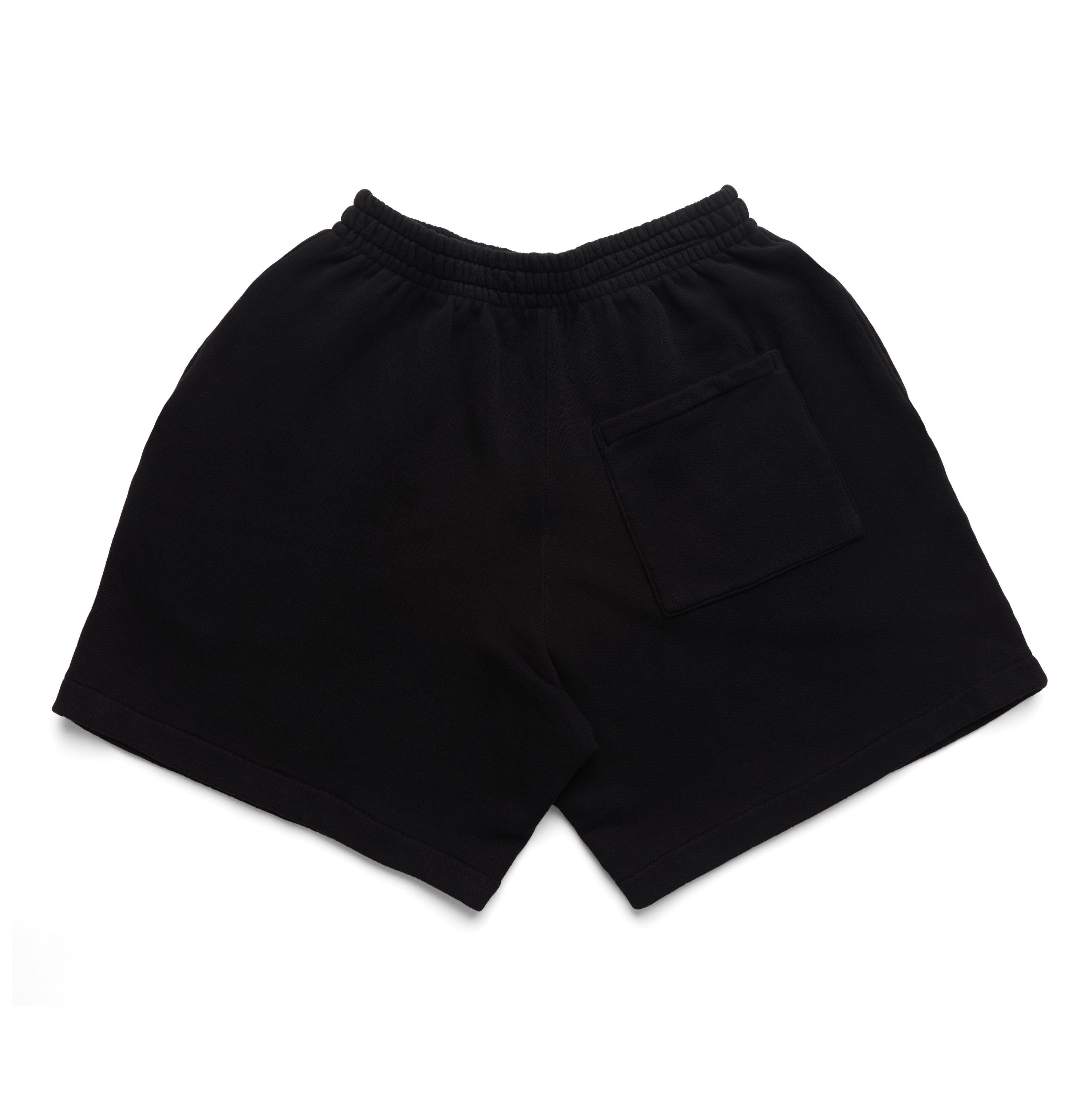 Photo of DSC Club Terry Shorts | jet black