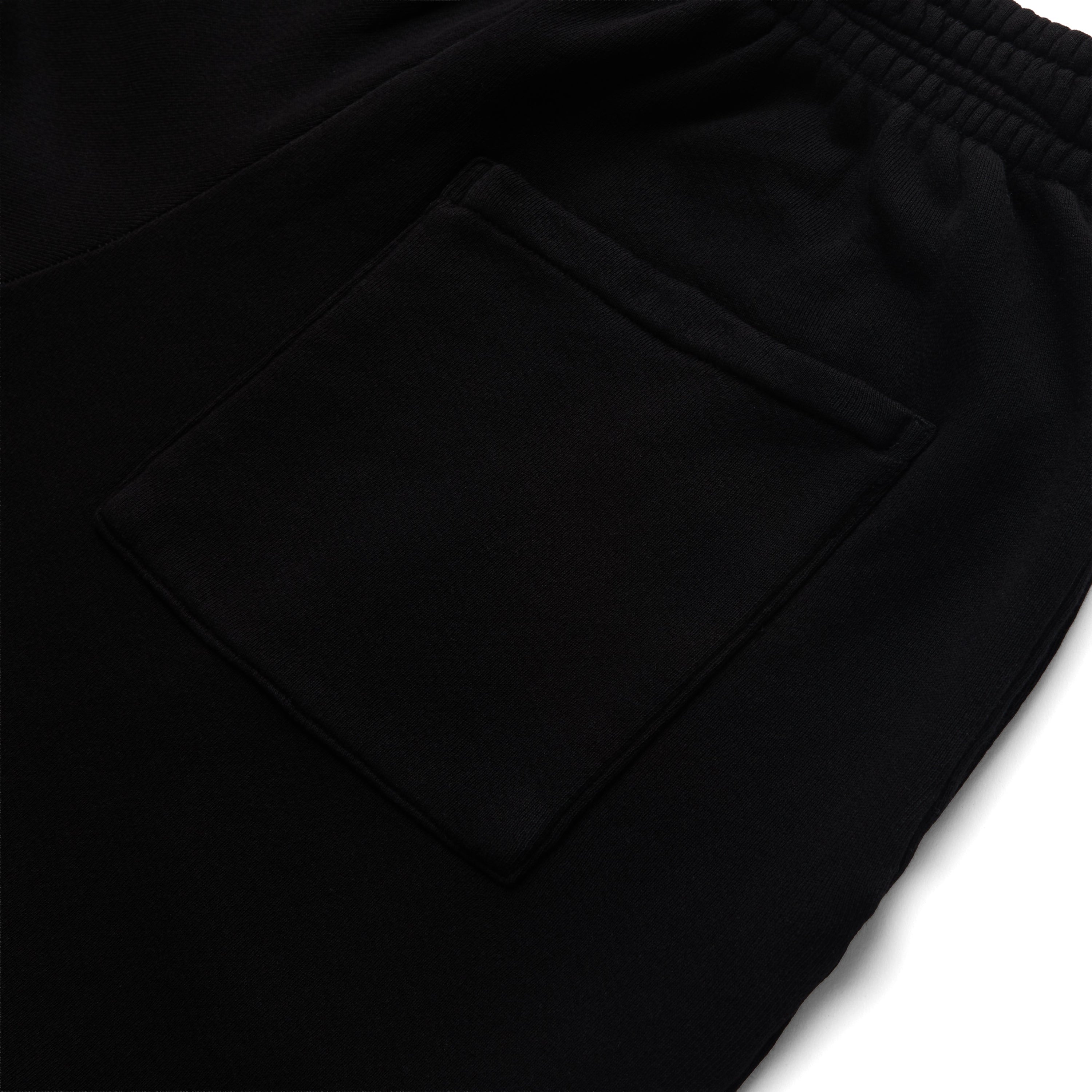 Photo of DSC Club Terry Shorts | jet black