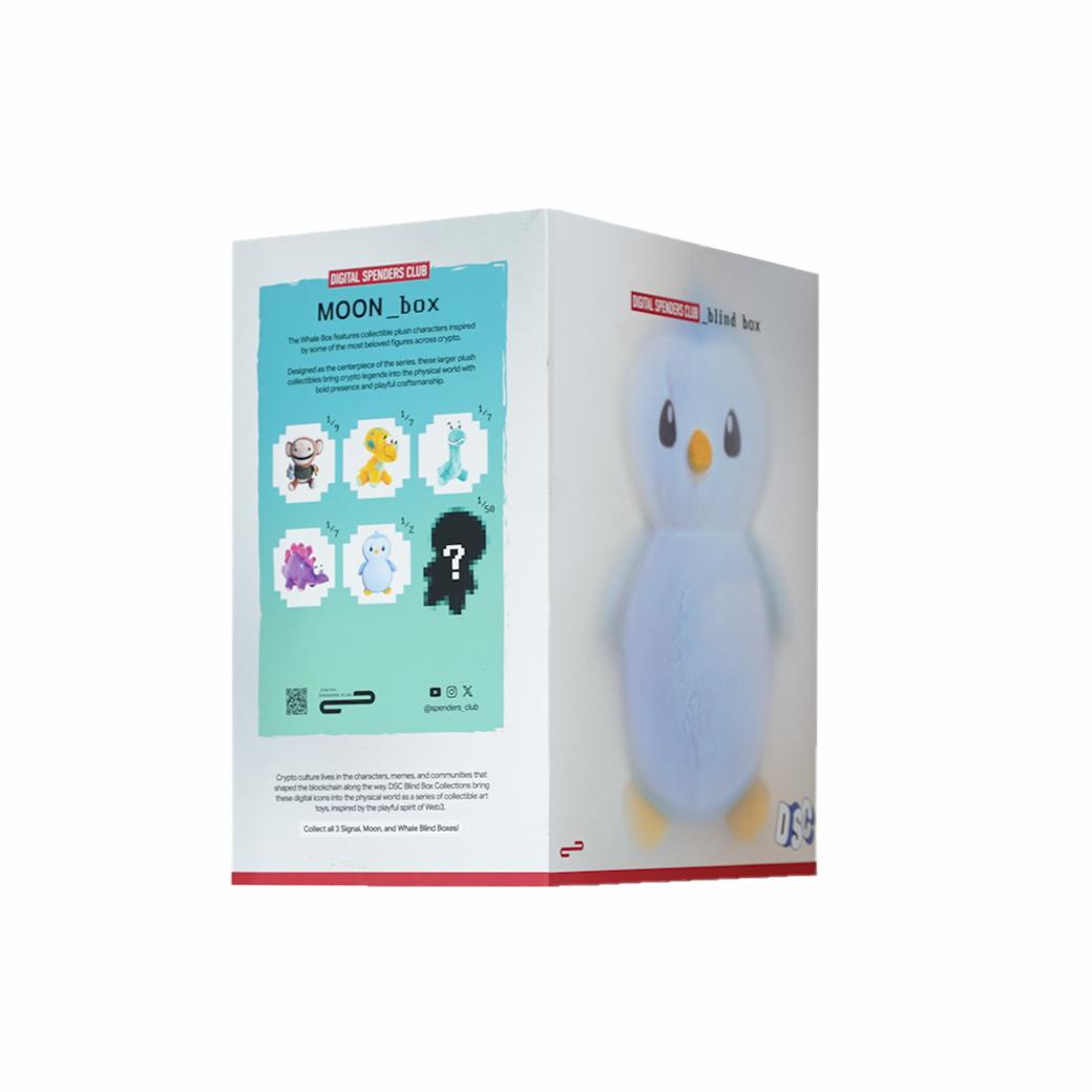 Photo of Whale Box | Whale Box